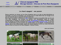 Détails : cheval espagnol PRE - élevage Samson